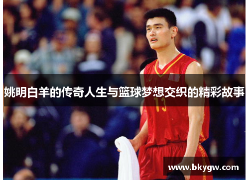 姚明白羊的传奇人生与篮球梦想交织的精彩故事