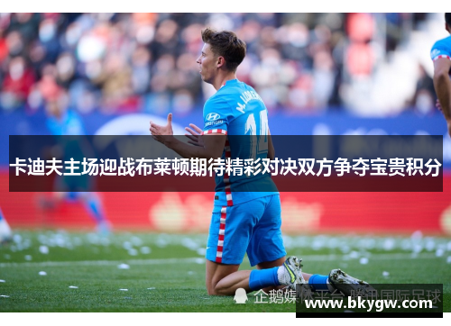 卡迪夫主场迎战布莱顿期待精彩对决双方争夺宝贵积分